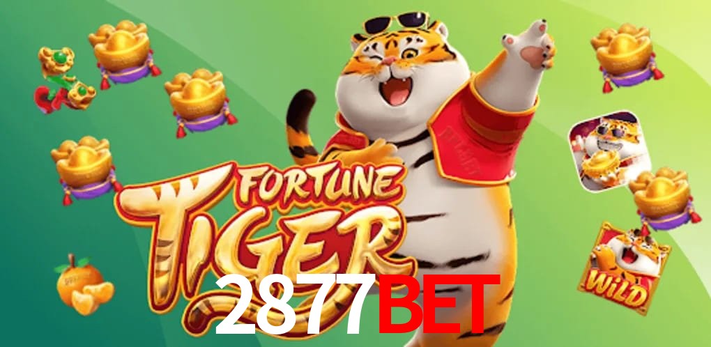 Statistics 2877bet