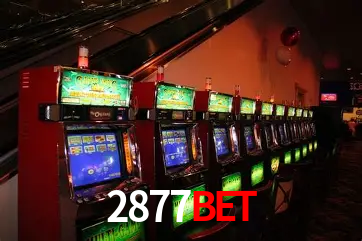 A Experiência Imersiva dos Cassinos Ao Vivo no 2877bet